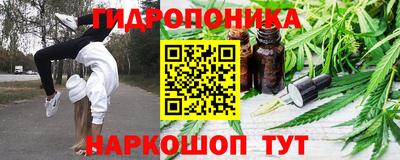 гашик Кулебаки