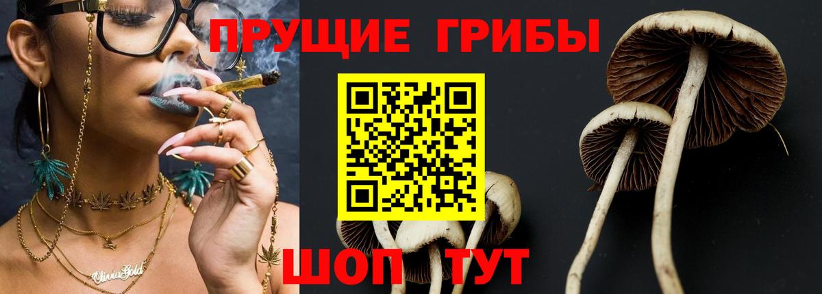 Альфа ПВП Королёв